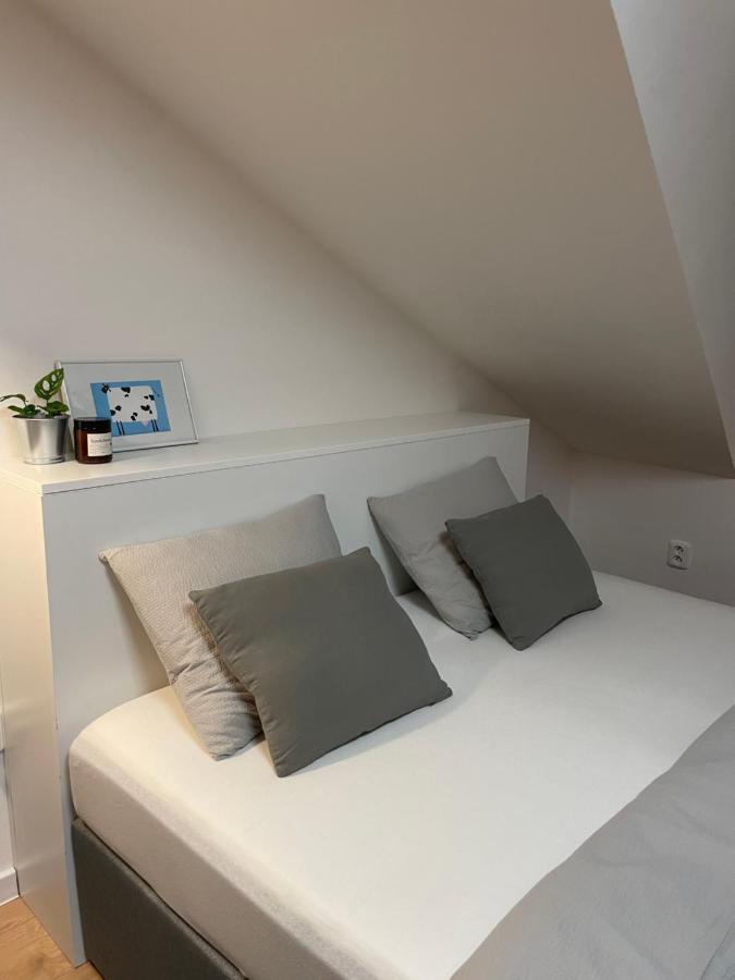 Proste Terezska Appartement Olomouc Buitenkant foto